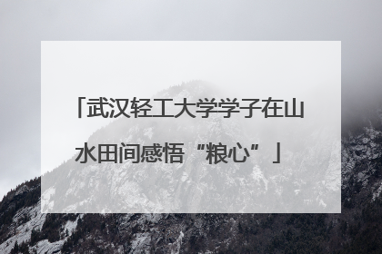 武汉轻工大学学子在山水田间感悟“粮心”